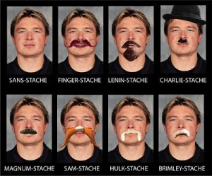 fedsstache