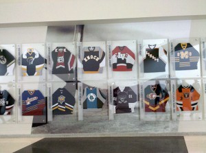 The hall of high school and amateur hockey.